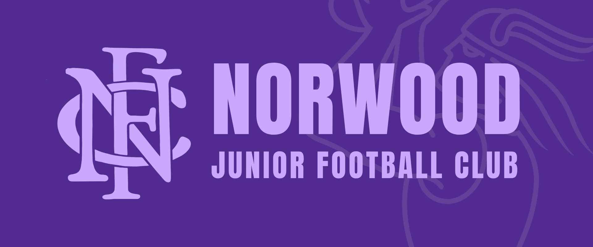 Norwood Junior Football Club Logo